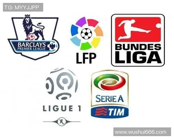 德国足球球员星级划分标准及其影响力分析