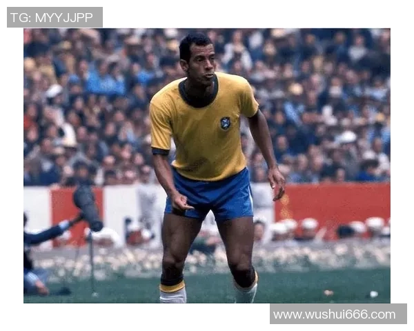 世界足球十大球星风采揭秘:他们如何改变了足球历史和未来 世界足球十大球星风采揭秘:他们如何改变了足球历史和未来